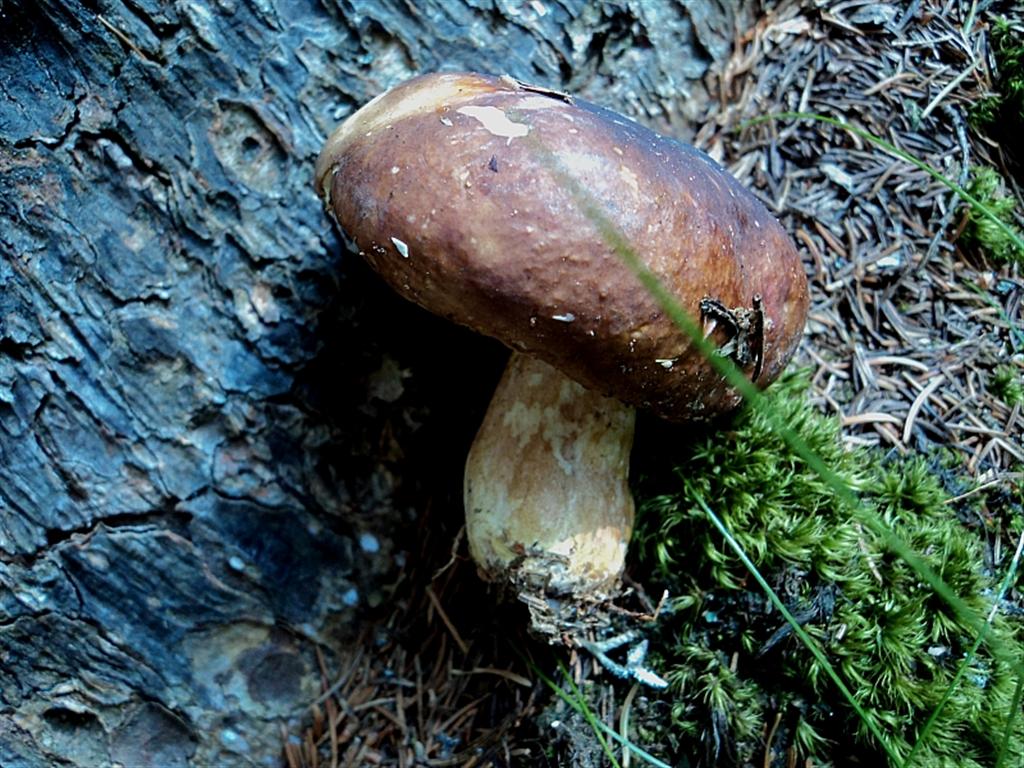Ferragosto in famiglia