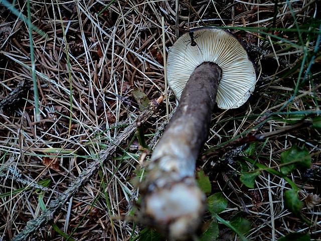 Ferragosto in famiglia