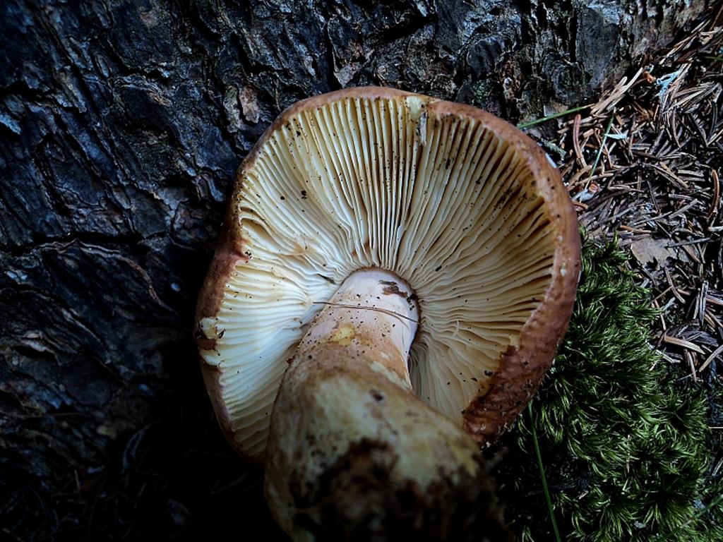 Ferragosto in famiglia