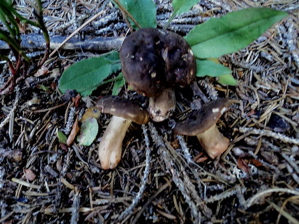 Ferragosto in famiglia
