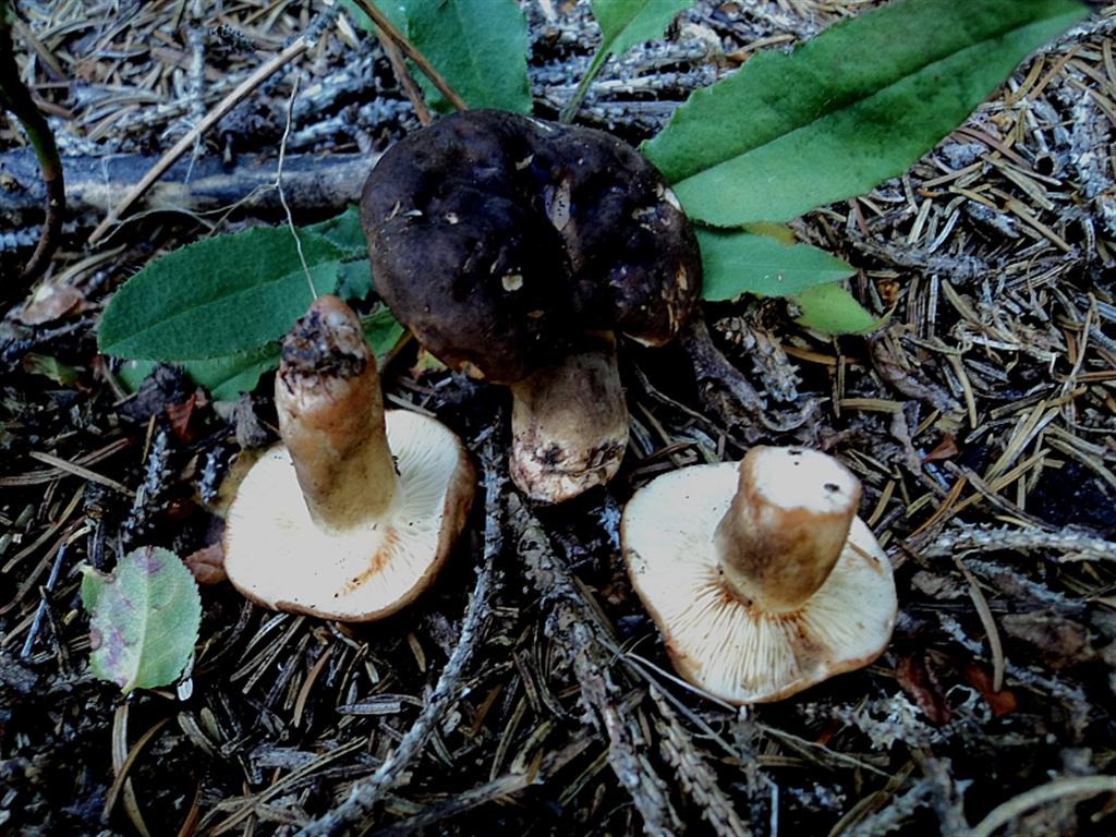 Ferragosto in famiglia