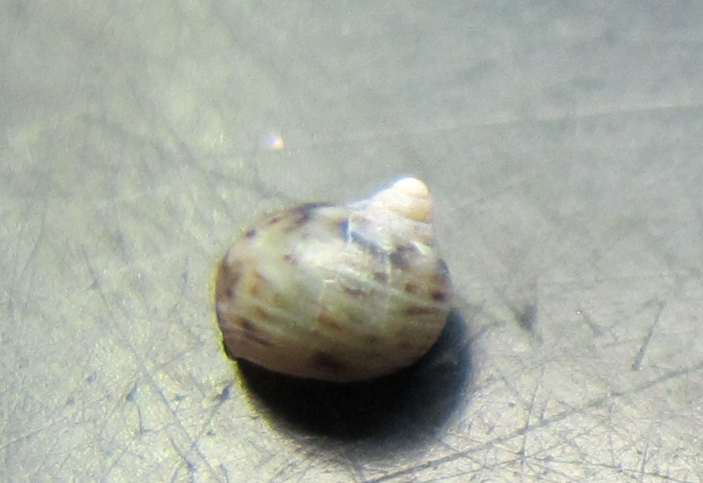 Secondo ed ultimo (per ora) dubbio..