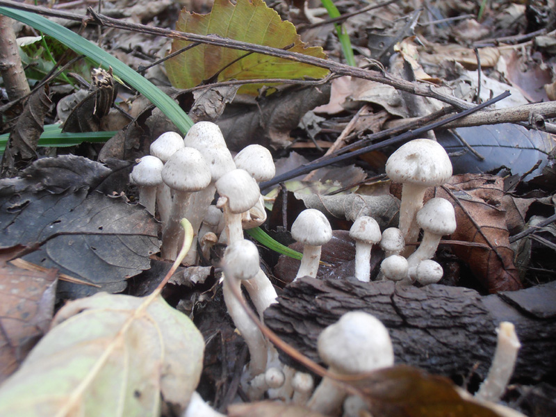 Ritrovamenti.. qualcuno sa dirmi qualcosa a riguardo?