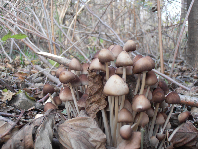 Ritrovamenti.. qualcuno sa dirmi qualcosa a riguardo?
