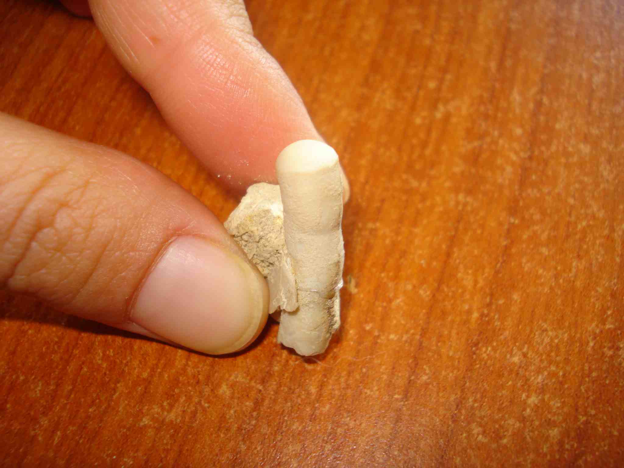 Determinazione Fossile