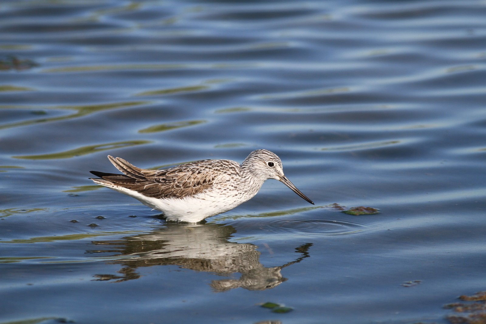 Visti da vicino, nel Cremasco