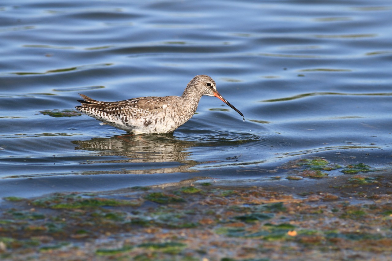 Visti da vicino, nel Cremasco