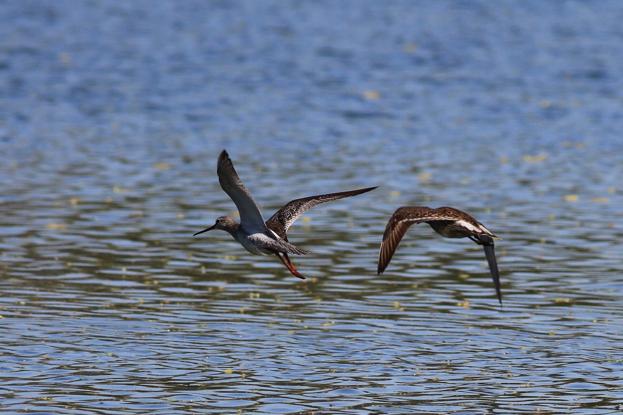 Visti da vicino, nel Cremasco