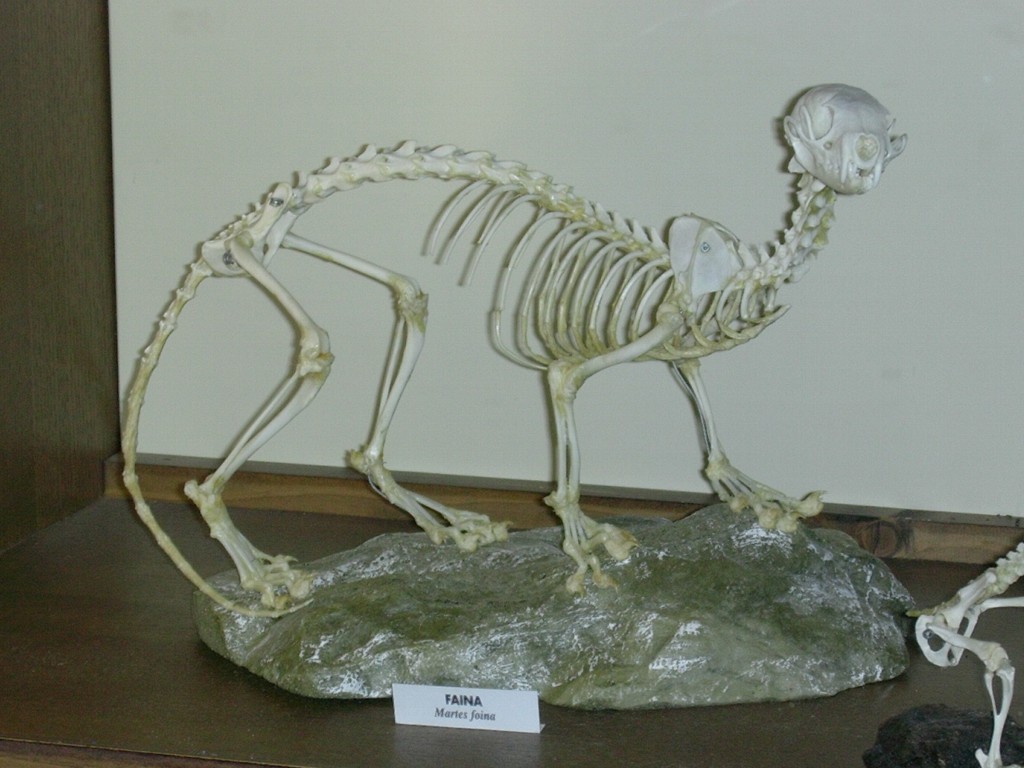 ritrovamento