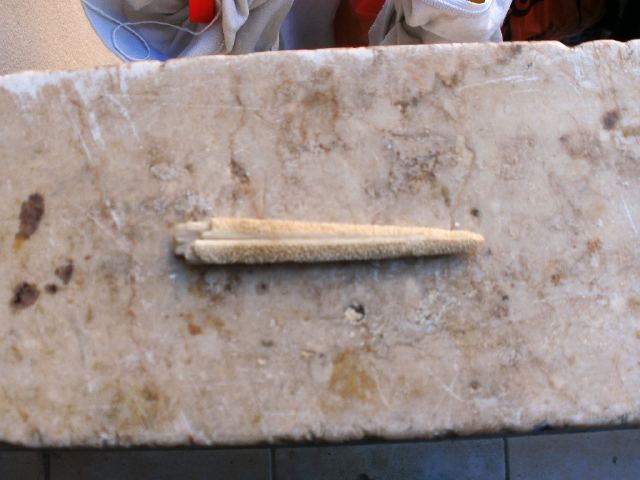 E'' un dente?
