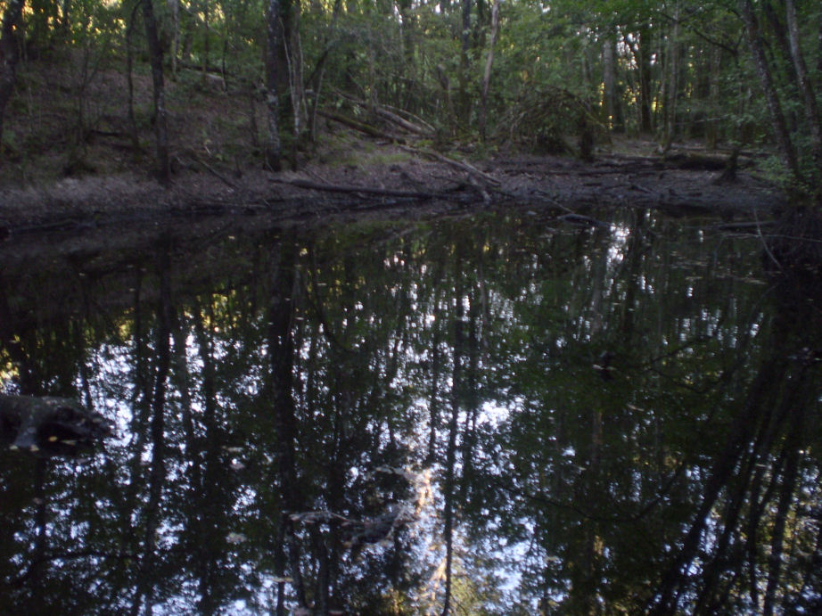 Escursione sul torrente Farma e allo stagno della 