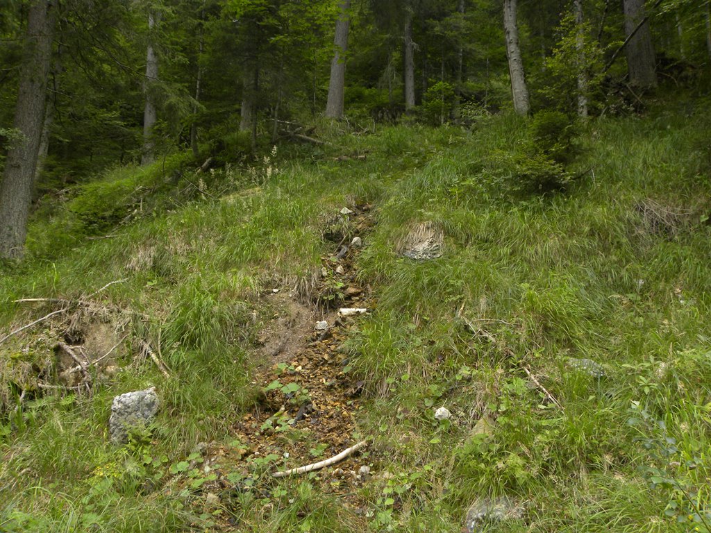 Un pomeriggio con la Salamandra atra in compagnia di Barbaxx