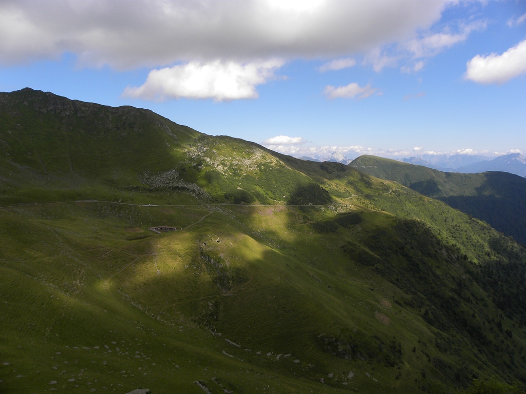 Anfibi e bovini, o la caccia all''ululone pi alto del mondo