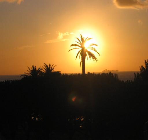 DAL MIO TERRAZZO