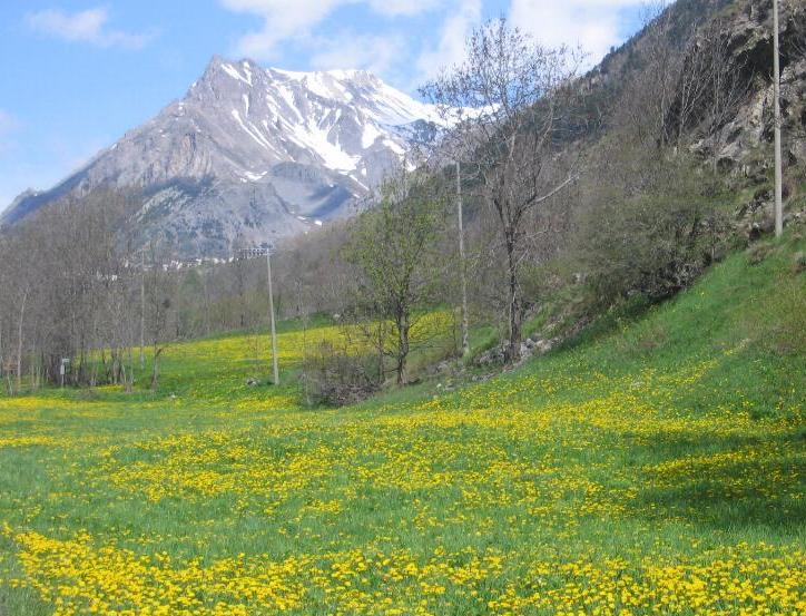 la natura