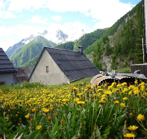 giallo, azzurro ,verde e bianco