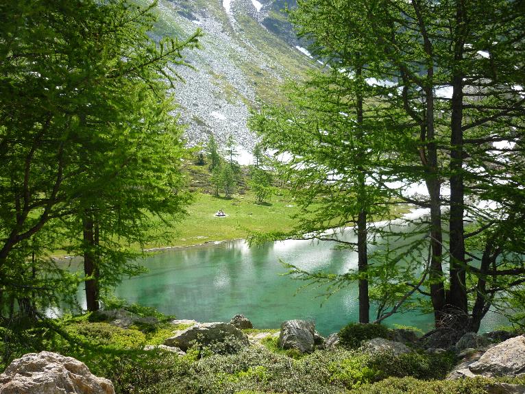 la natura
