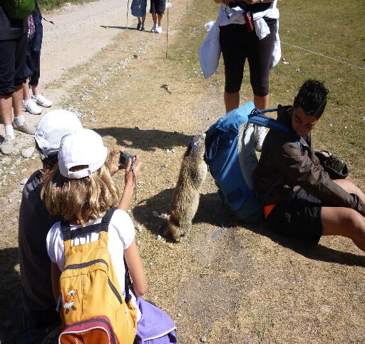 le marmotte della pro loco