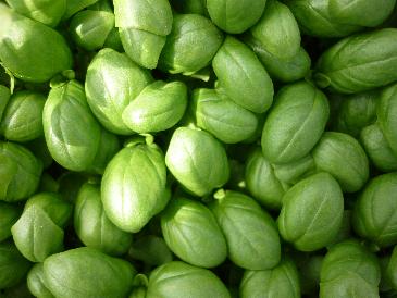 vi invio alcune foto