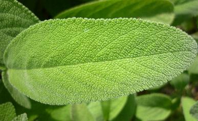 vi invio alcune foto