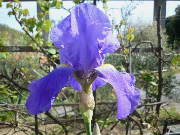 oggi ho provato a fare delle foto