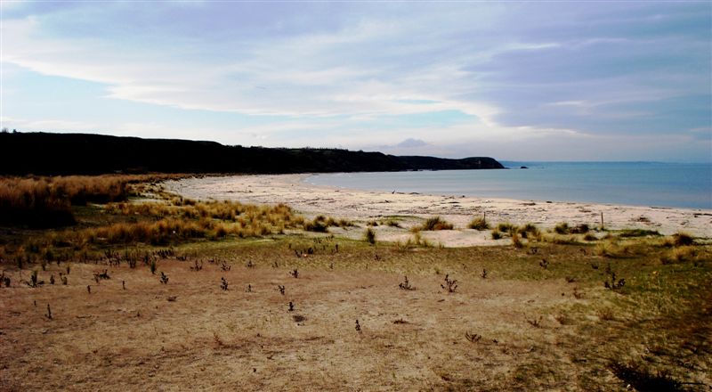 mollusco a Punta Penna/Aderci (CH)