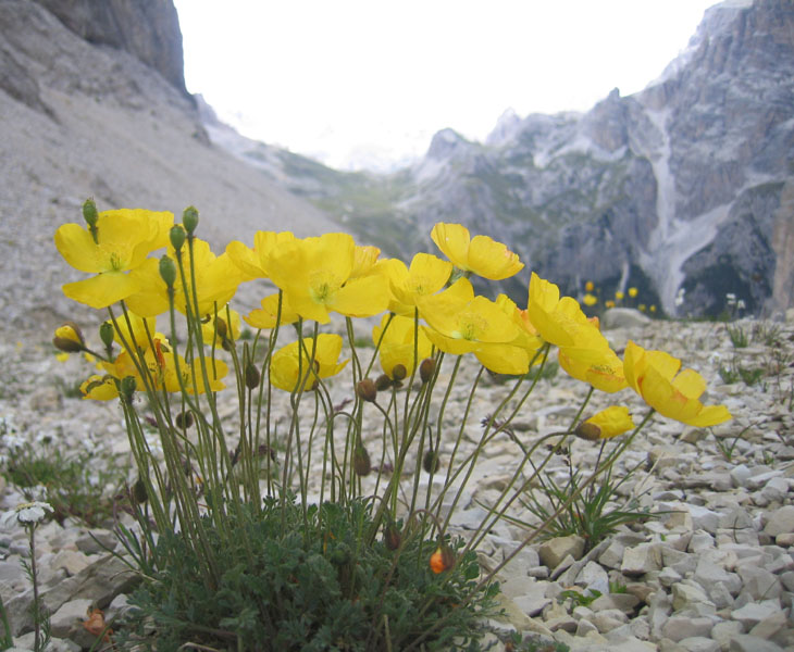 Tre Cime di Lavaredo.......