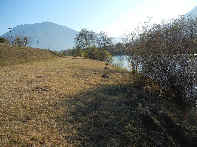 Conigli - Fiume Adige