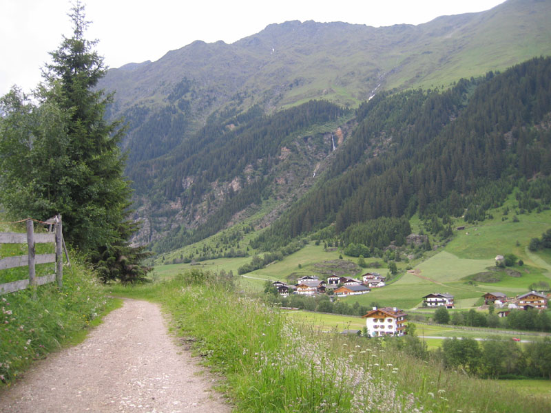 Odezia atrata - Geometridae.........dal Trentino Alto Adige