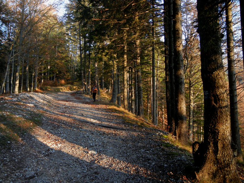 Traversata.....della Vigolana