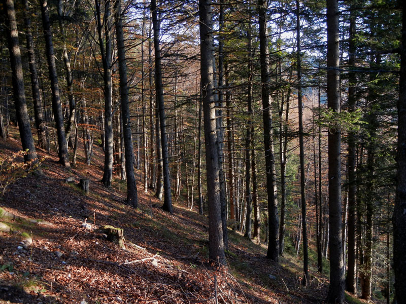 Traversata.....della Vigolana