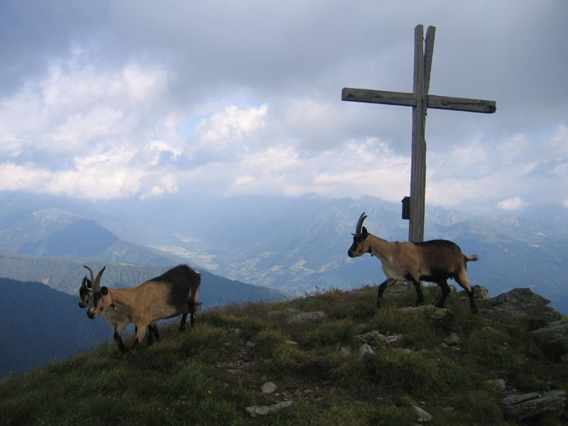 7 salite....... al Passo Pennes