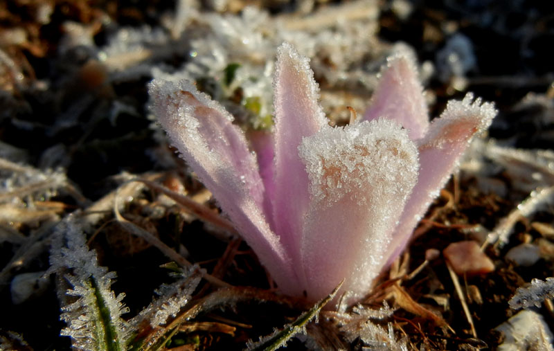 Traversata.....della Vigolana