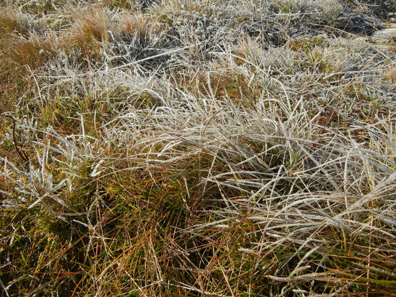 Traversata.....della Vigolana