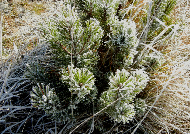 Traversata.....della Vigolana