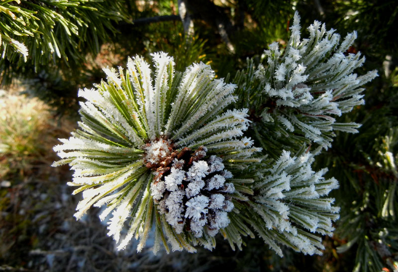 Traversata.....della Vigolana