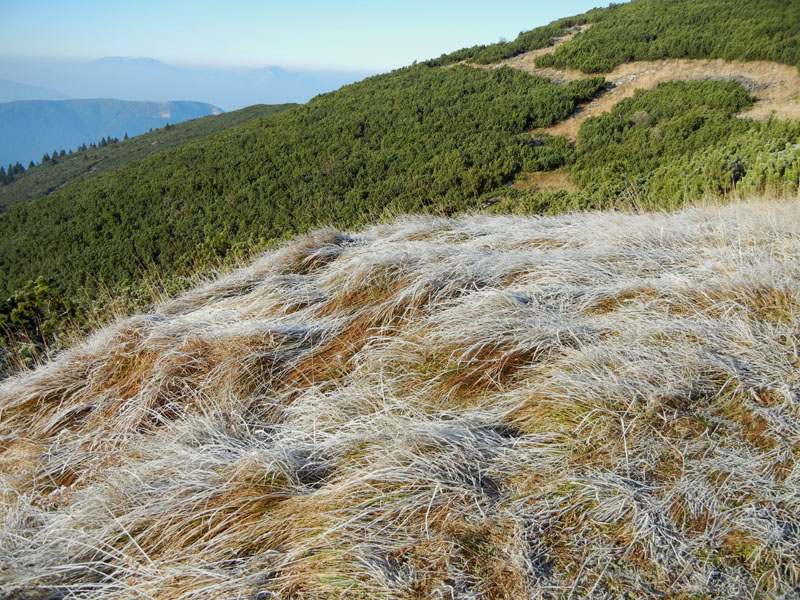 Traversata.....della Vigolana