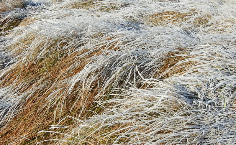 Traversata.....della Vigolana