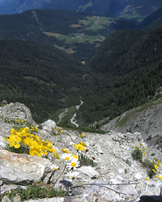 7 salite....... al Passo Pennes