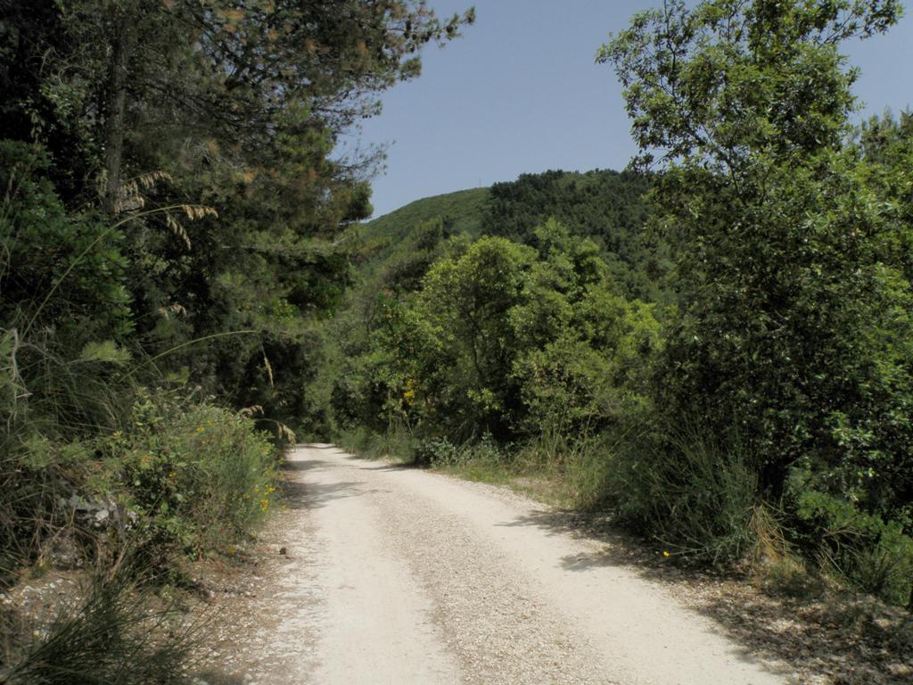 Vi accompagno al Passo del Lupo