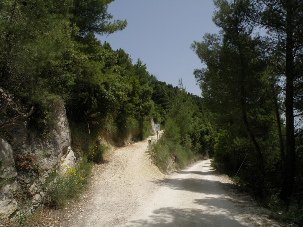 Vi accompagno al Passo del Lupo