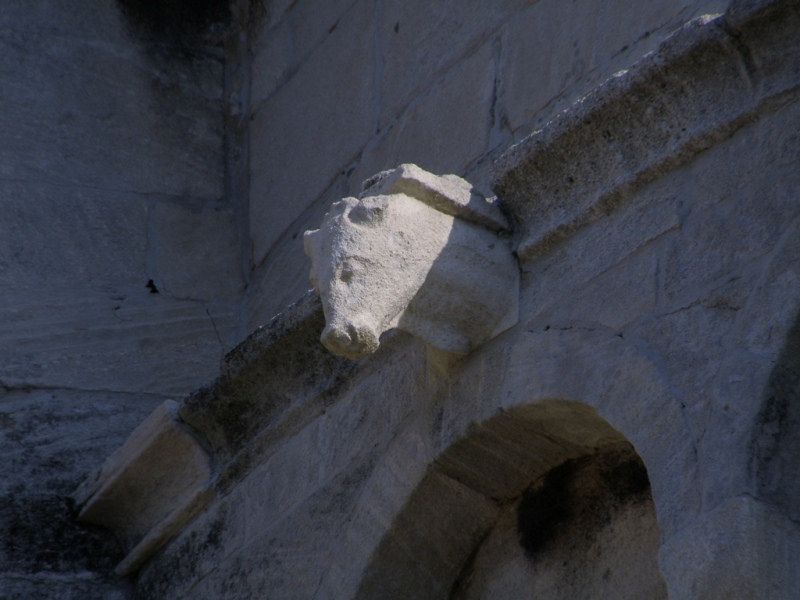 Bestiario del duomo di S.Ciriaco