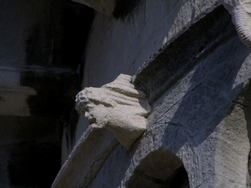 Bestiario del duomo di S.Ciriaco