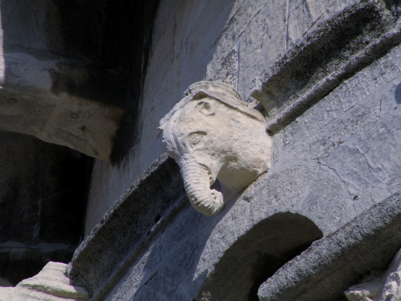 Bestiario del duomo di S.Ciriaco