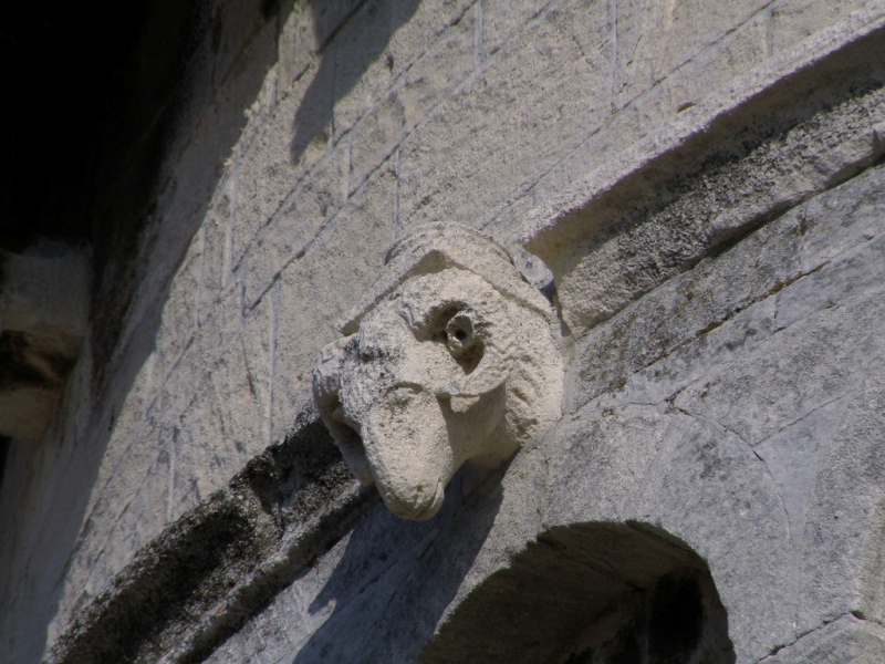 Bestiario del duomo di S.Ciriaco