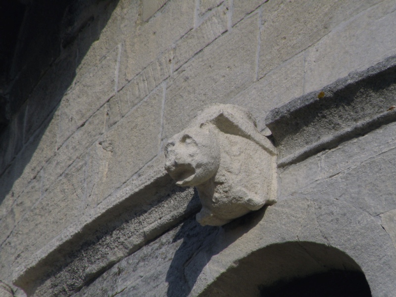 Bestiario del duomo di S.Ciriaco