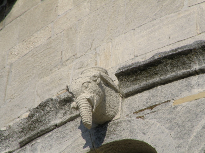 Bestiario del duomo di S.Ciriaco