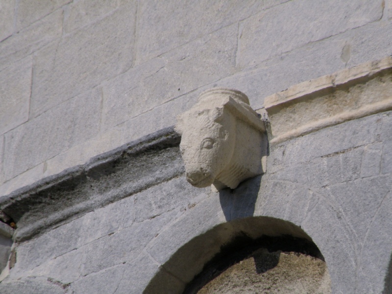 Bestiario del duomo di S.Ciriaco