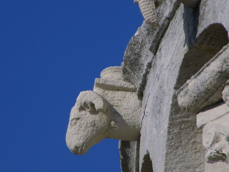 Bestiario del duomo di S.Ciriaco