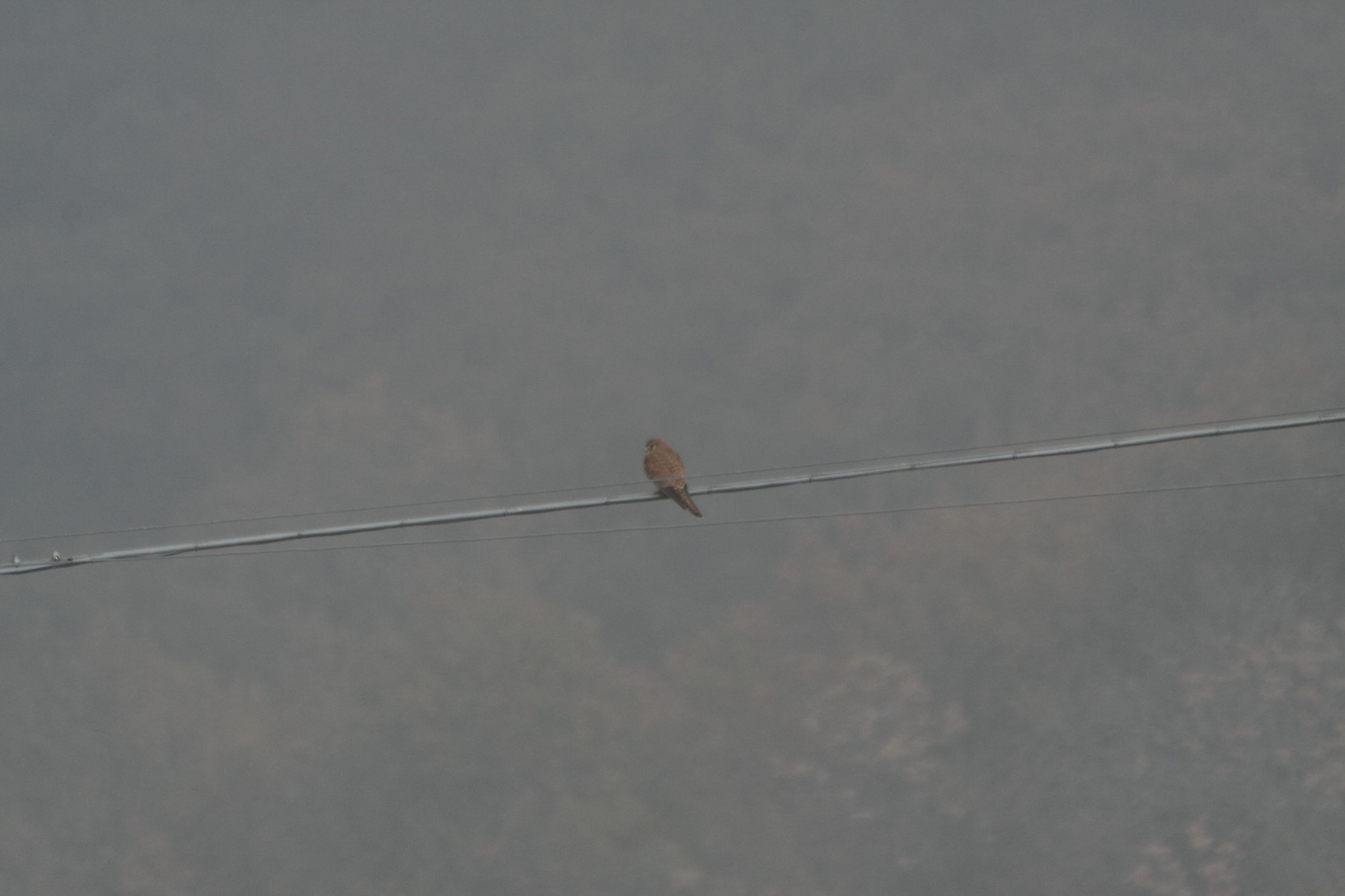 teleconverter